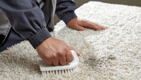 Professional Rug Cleaning Yellingbo